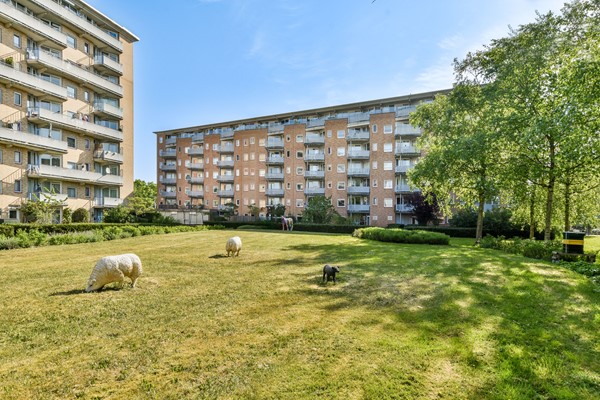 Medium property photo - Laan van Vlaanderen 154, 1066 MR Amsterdam